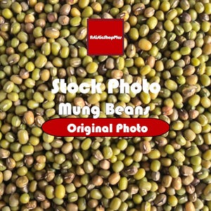 Photos, Haricots mungo (légumineuses)|(Aliments sains et végétaliens)|Licence personnelle et commerciale (site Web/image de marque/bannière/arrière-plan/Clipart/papier peint)