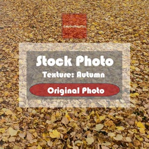 May include: A ground-level shot of a carpet of fallen autumn leaves in shades of yellow and brown. The image includes a rectangular graphic with the words "Stock Photo", "Texture: Autumn", and "Original Photo".