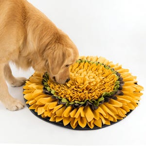 Könnte beinhalten: Ein Golden Retriever schnuppert an einem runden Haustierbett, das einer Sonnenblume nachempfunden ist. Das Bett hat Schichten aus gelben, grünen und braunen Stoffblütenblättern mit einem schwarzen Rand. Das Fell des Hundes ergänzt die Farben des Bettes.