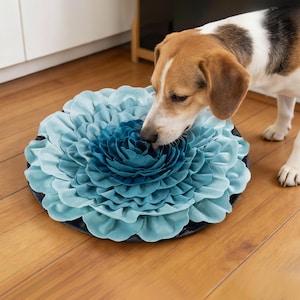 Könnte beinhalten: Ein runder, blauer Haustierbett in Form einer Blume, mit geschichteten Blütenblättern in verschiedenen Blautönen. Das Bett steht auf einem Holzboden. Ein Hund mit braunem, weißem und schwarzem Fell beschnuppert das Bett.