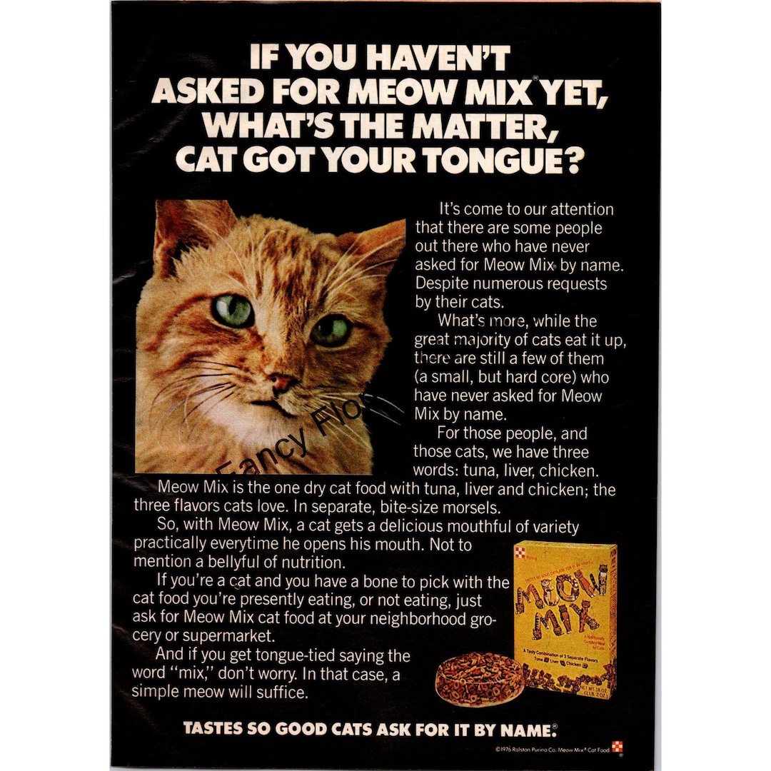 Stress Can Affect Your Cat’s Appetite