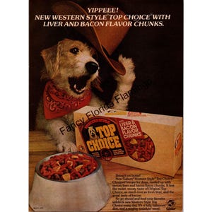 1977 Gaines Top Choice Dog Food Vintage Print Ad — Western Style Liver & Bacon Chunks Cowboy Dog