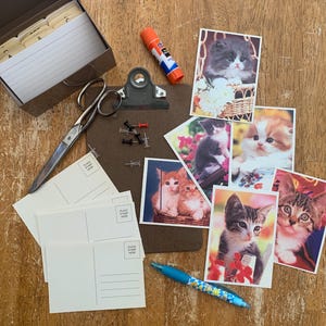 Six Vintage 1980’s Perforated Blank Cat Postcards