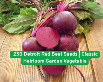 Detroit Red Beet Seeds: Heirloom Garden Vegetable, Non-GMO