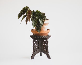 Vintage 2 Piece Indian Carved Wooden Plant Stand, Modern Bohemian Carved Wood Plant Pedestal, Plant Accessories