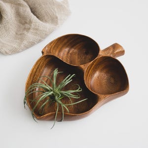 Op de afbeelding: Een houten serveerschaal in de vorm van een appel, met drie compartimenten. De schaal is gemaakt van donker hout en bevat een kleine groene plant. Een beige doek is op de achtergrond.