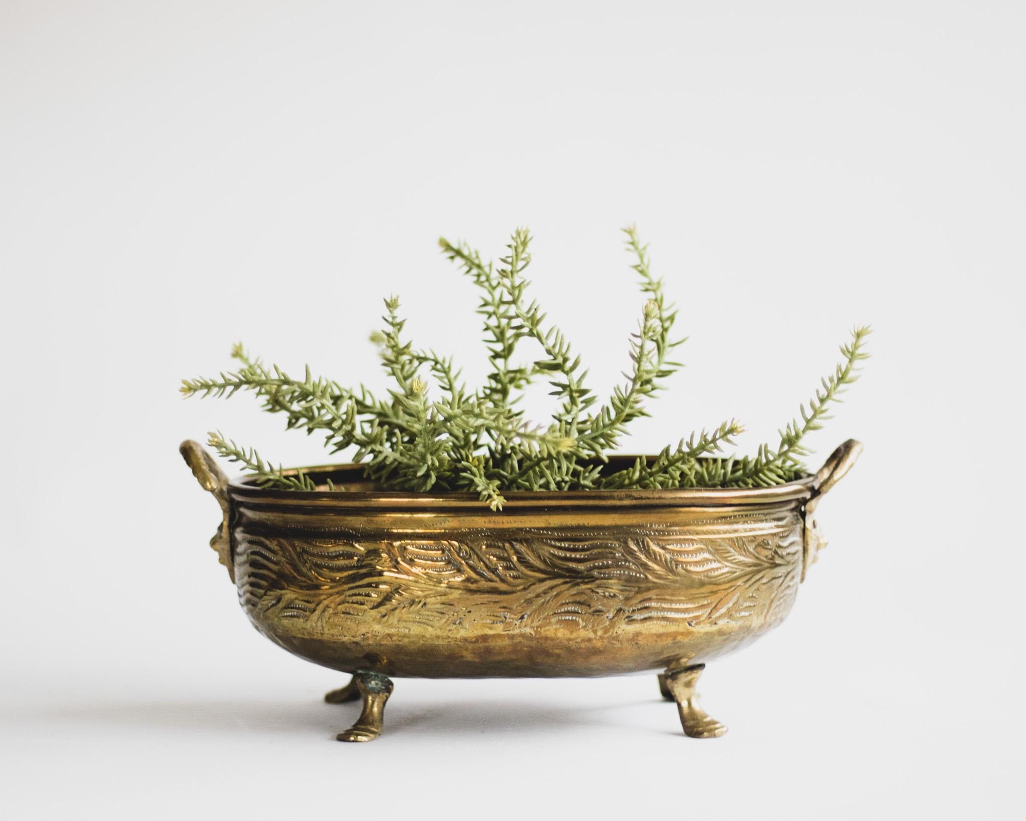 Vintage Oblong Brass Footed Planter With Lions, Embossed Brass