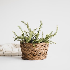May include: A woven brown basket with a plant featuring green, spiky leaves. The basket has a textured, crisscross pattern. A white and beige striped cloth is partially visible in the background.