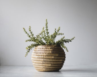 Natural Coil Plant Basket, Small Plant Holder Basket, Organic Modern Minimalist Decor, African Plant Holder, Southwestern Coiled Basket