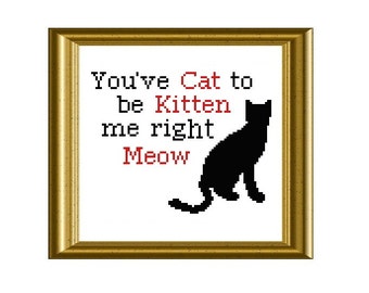 Funny Cat Quote Counted Cross Stitch Pattern PDF Instant Download