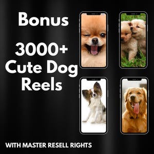 3000+ dogs reels