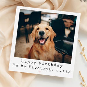 Golden Retriever Birthday Card: Photo Card From Dog to Human