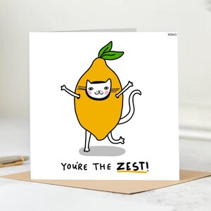 You&#39;re The Zest - Funny Card, Thank You Card, Congrats Card, Love Card, Birthday, Anniversary Card ,Hilarious Greeting Card