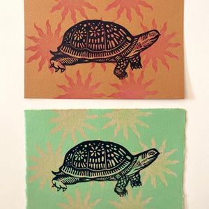Eastern Box Turtle Linocut Prints | Nature Art | Bird Art | Reptile ...