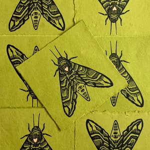 Hawk Moth Block Print - Entomology Sphinx Moth Bugs Insect Nature Linocut Print