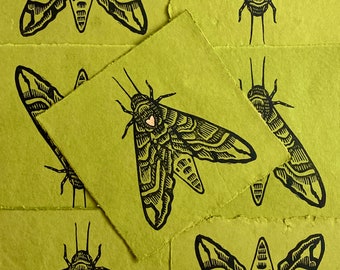 Hawk Moth Block Print - Entomology Sphinx Moth Bugs Insect Nature Linocut Print