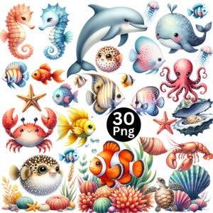 May include: A selection of watercolour illustrations featuring marine life such as a dolphin, seahorses, fish, a crab, and an octopus. The image includes the text "30 Png" in a black circle.