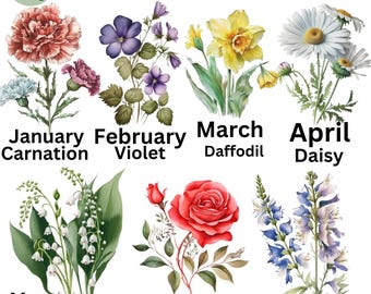 30 PNG Birth Month Flowers Clipart, Watercolor Floral PNG, Birth Month Flower Bundle, Birthday Clipart, Digital Floral Set, Instant Download