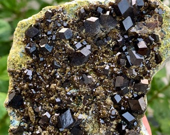 Andradite Garnet with Topazolite Crystals, Dark Sparkling Garnet Cluster, Natural Mineral Specimen from Afghanistan (630 gm)
