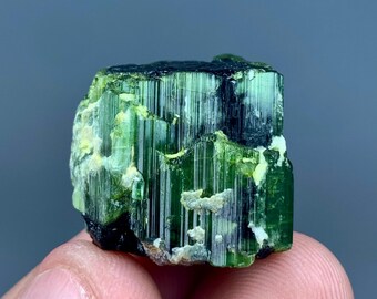 Green Tourmaline Crystal Specimen, Natural Raw Mineral, Deep Green Elbaite Tourmaline, Collector Gemstone from Afghanistan (68 CTs)