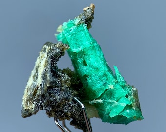 Green Emerald Crystal Specimen | Raw Natural Emerald, Mineral on Matrix, Gemstone Collector Gift from Pakistan (9 CTs)