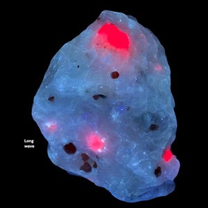 May include: A rough, translucent mineral specimen glowing under ultraviolet light. The stone features a pale blue, phosphorescent body with several distinct, bright neon red fluorescent spots and small, dark brown inclusions. Text reads Long wave.