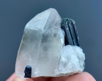 Tourmaline with Quartz Crystal Specimen, Natural Black Schorl, Raw Crystal Cluster, Mineral Collector from Afghanistan (80 CTs)