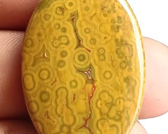 May include: An oval gemstone featuring a distinctive pattern of concentric circles in shades of yellow and green, with red veins. The polished surface is smooth and reflective, highlighting the natural colour and texture variations.