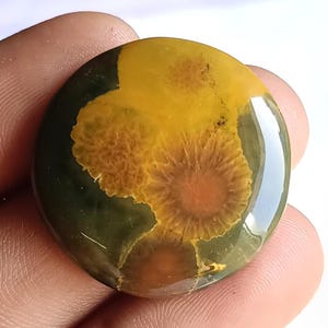Ocean Jasper Cabochon Unikt Mönster Naturlig Smyckessten | 27x27x5mm | 27.60ct | S661