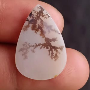 Op de afbeelding: Een druppelvormige edelsteen met een witte basis en ingewikkelde bruine dendritische insluitsels die op een tak lijken. Het gepolijste oppervlak reflecteert licht en benadrukt de natuurlijke patronen. Ideaal voor het maken van sieraden.