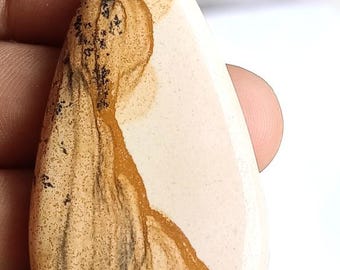 Gepolijste foto jaspis cabochon | Handgemaakte genezende steen (58 x 32 x 7 mm)