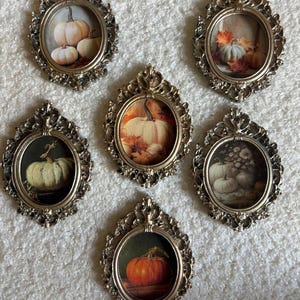 Peut inclure: Six cadres ovales ornés avec des bordures argentées détaillées. Chaque cadre contient une image différente de citrouilles, de couleurs et d'arrangements variés, évoquant le thème de la récolte d'automne. Les cadres sont disposés sur une surface blanche texturée.