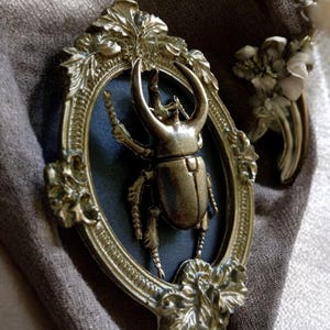 May include: An antique-style brooch featuring a detailed bronze-colored beetle within an ornate oval frame. The frame has a floral design and is set against a dark blue background. A matching floral brooch is also visible.