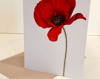 Poppy Greeting Card