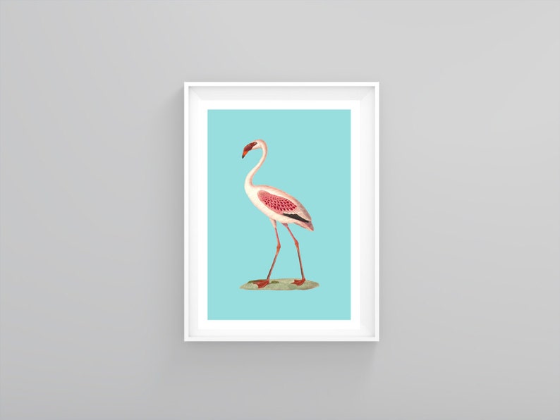 Vintage style flamingo poster Animal poster Vintage poster Vintage Print gift for her gift for child gift for him image 5