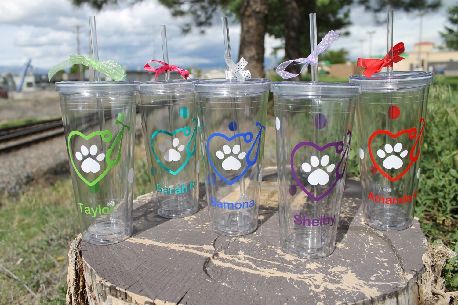 Personalized Stethoscope Heart Paw Print Vet Tech or | Etsy