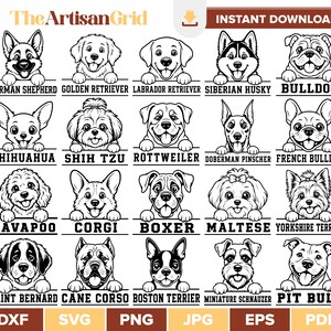 May include: A digital collection of twenty black and white line art illustrations featuring various dog breeds, including German Shepherd, Golden Retriever, Labrador, Husky, Bulldog, Chihuahua, Shih Tzu, Rottweiler, Doberman, French Bulldog, Cavapoo, Corgi, Boxer, Maltese, Yorkshire Terrier, Saint Bernard, Cane Corso, Boston Terrier, Miniature Schnauzer, and Pit Bull.