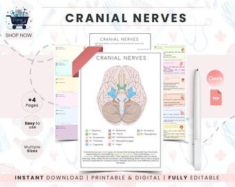 Cranial Nerves Study Sheet Template | Anatomy Organizer for Nursing Students | Neuroscience Notes | NCLEX Study Guide | Brain Anatomy Poster