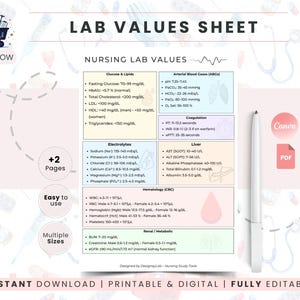 Nursing Lab Values Chart | Study Organizer Template | Medical Student Notes | NCLEX Prep Reference Sheet | Printable Study Guide