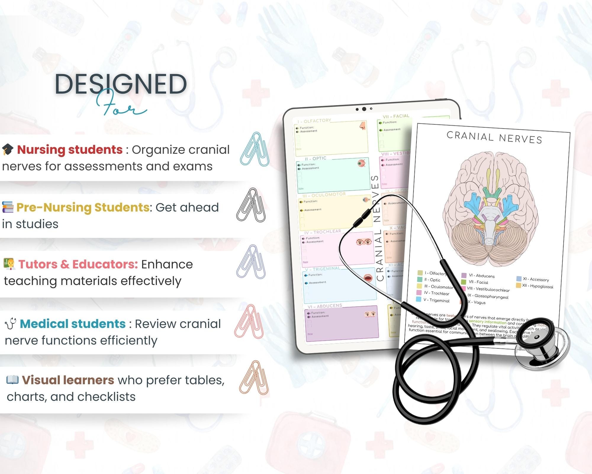 Cranial Nerves Study Sheet Template | Anatomy Organizer for Nursing ...