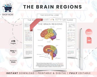 Brain Anatomy Study Template | Neuroscience Notes | Brain Regions Worksheet | Psychology Student Planner | Nervous System Study Guide
