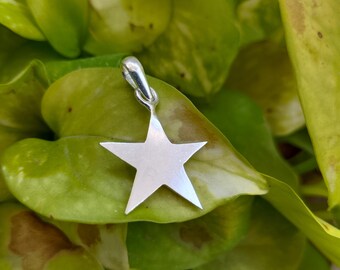 May include: A silver star pendant with a loop for a chain. The five-pointed star is set against a backdrop of green leaves. The pendant is a simple, elegant design.