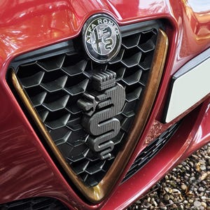 May include: Close-up of a red car's front grille. The grille features a black honeycomb pattern with a gold-colored trim. The Alfa Romeo emblem is centered above the grille.