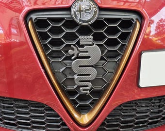 Universal Carbon Fiber Snake Emblem for Any Car Grille