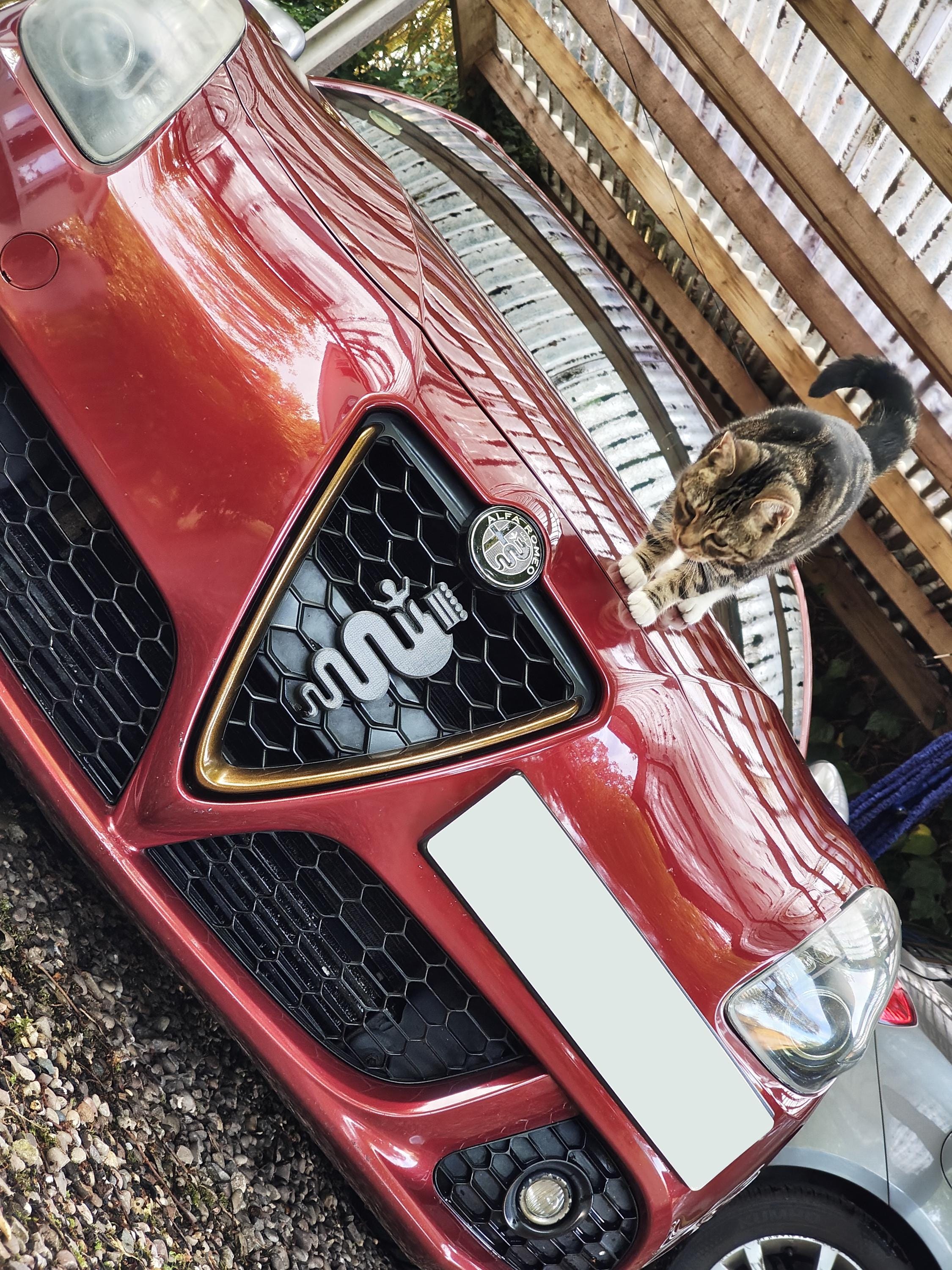 Carbon Fiber Snake Emblem for Alfa Romeo Giulietta (2010-2020) - Etsy