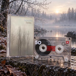 May include: A Fleetwood Mac Bare Trees cassette tape in a clear plastic case next to a matching cassette tape featuring the text 50, Normal Position, High Output Normal, Position Type I, Excellent & New Generation Sound, Zapas, and the letter A.
