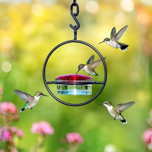 Hand Blown Glass Hummingbird Feeder with Red Flower Ports for Outdoor Garden Decoration and Hanging Bird Watching Gift