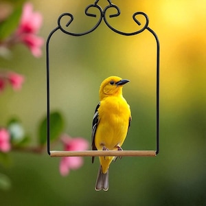 Hummingbird Swing for Outdoors –Durable Hanging Perch for Garden, Patio,or Backyard Bird Watching, Made in USA, Perfect Gift for Bird Lovers