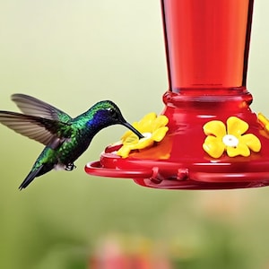 Hummingbird Feeder with Hook for Outdoor Hanging, 5 Nectar Feeding Ports, Leakproof Suspended Bird Feeder 13.5oz for Garden Yard