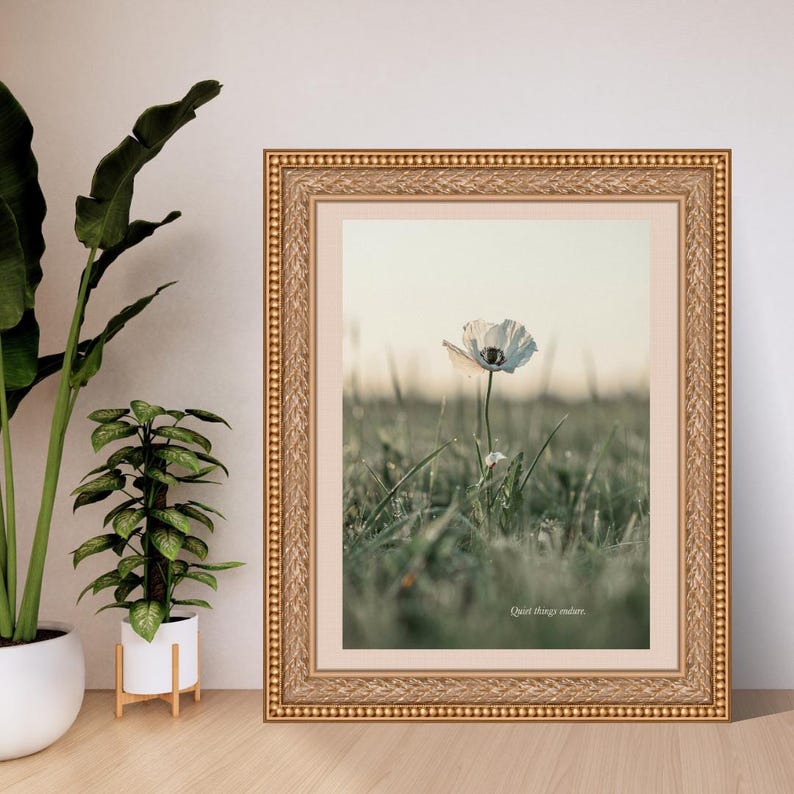 May include: A framed wall art print featuring a single white poppy flower in a grassy field at sunset. The ornate gold frame surrounds a light-colored mat. The text "Quiet things endure." is printed in small white letters at the bottom of the image.